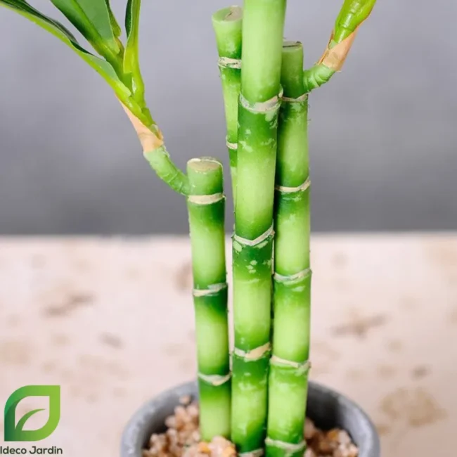 Bambou-artificiel-jeunes-pousses-dans-mini-pots